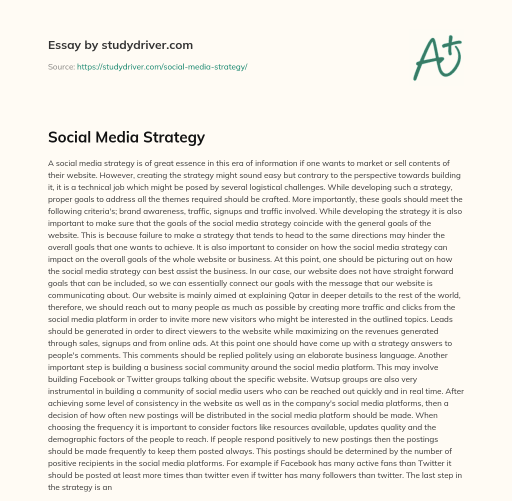 Social Media Strategy essay