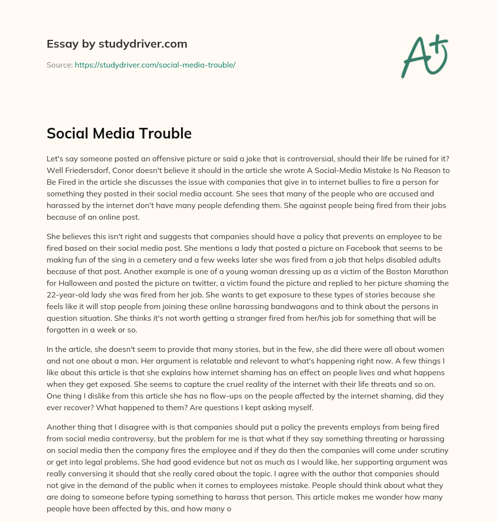Social Media Trouble essay