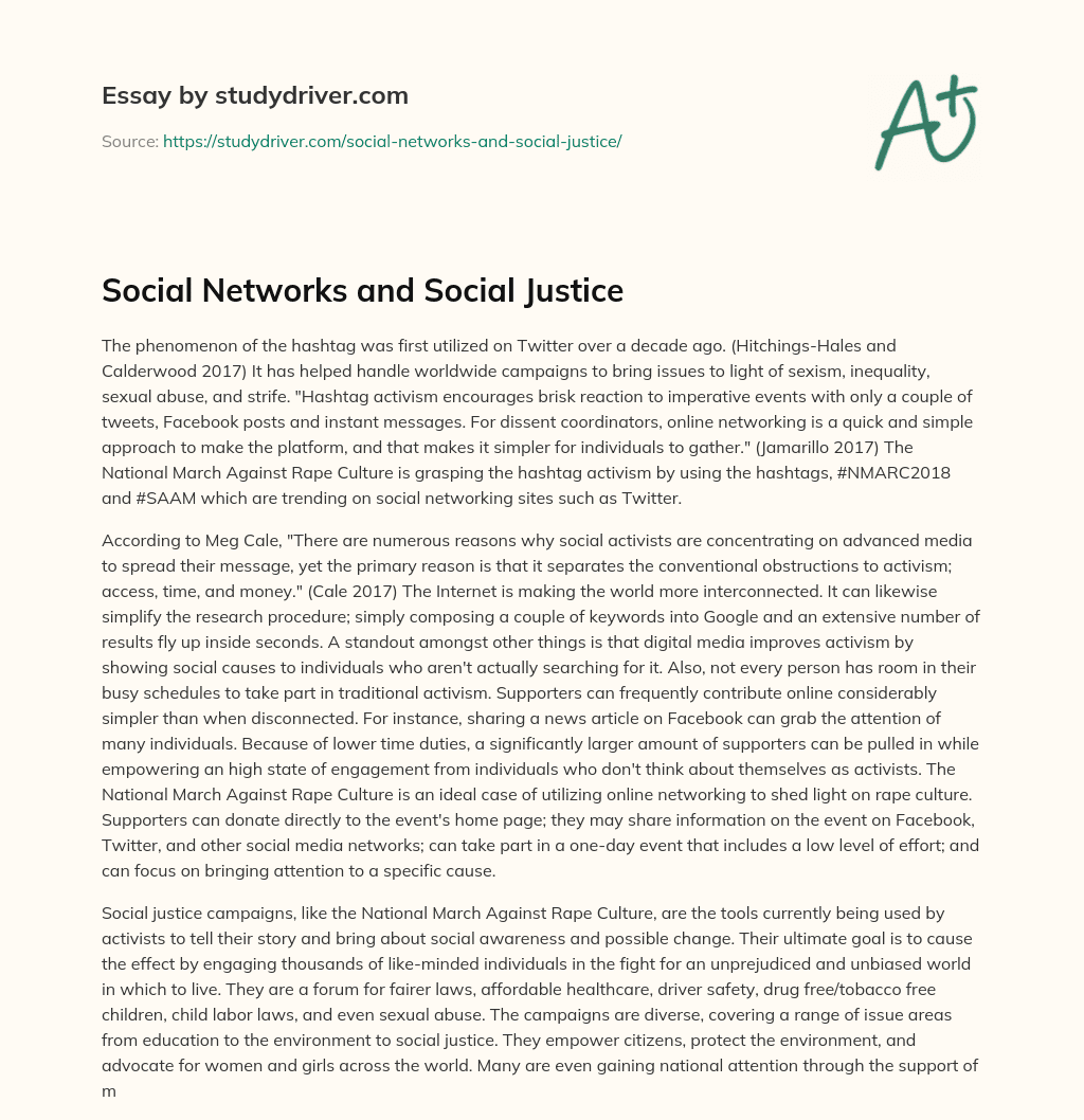 Social Networks and Social Justice essay