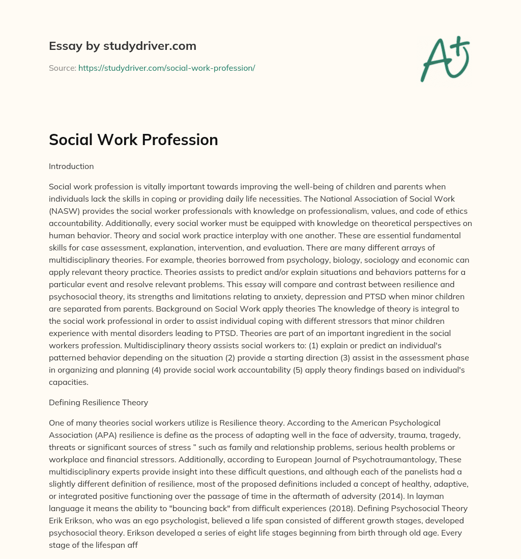 Social Work Profession essay