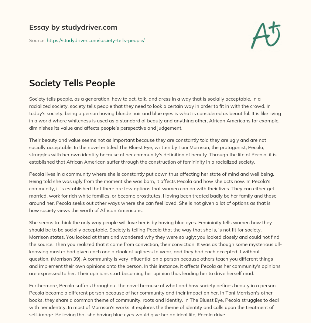 Society Tells People essay