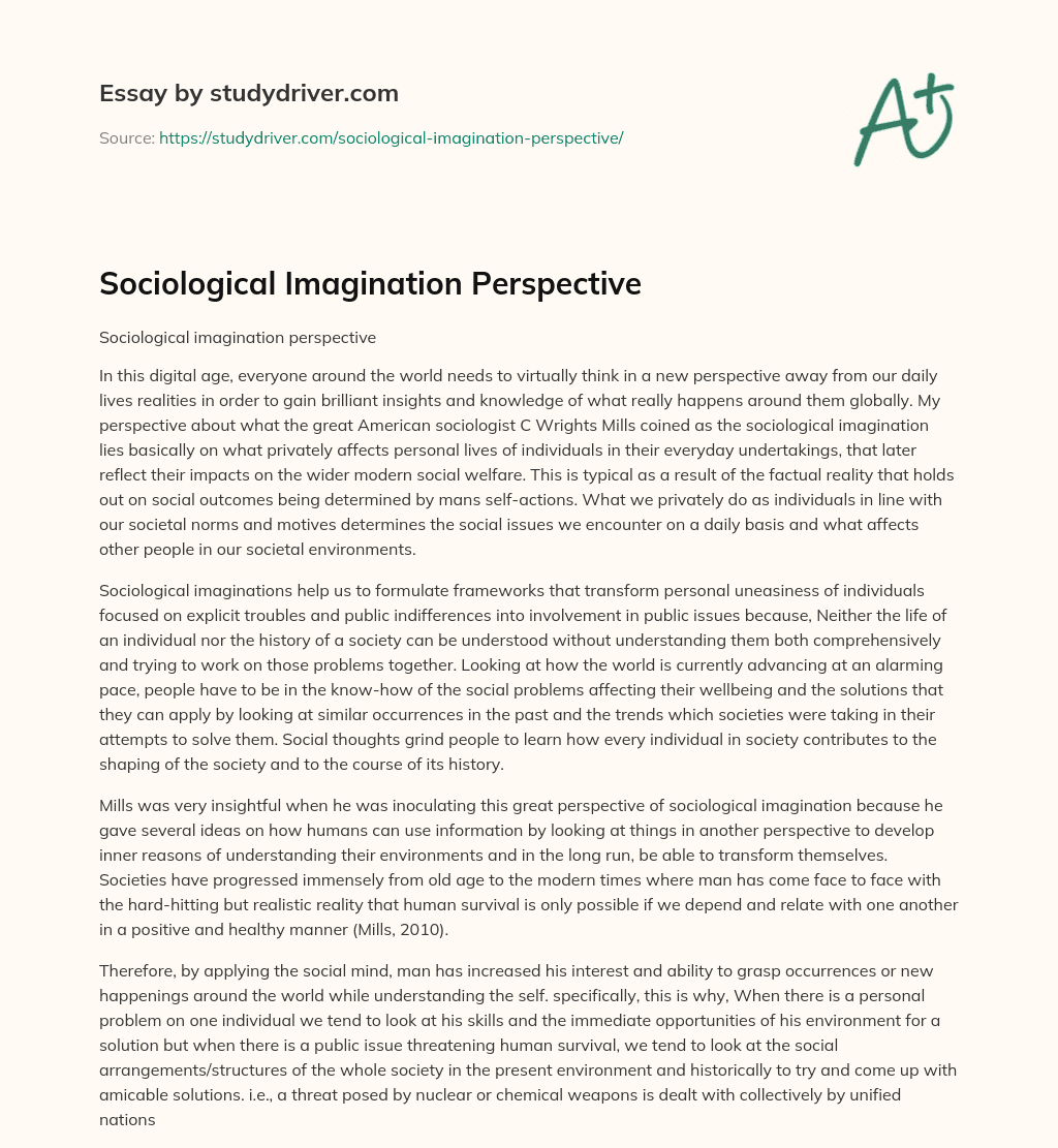 Sociological Imagination Perspective essay