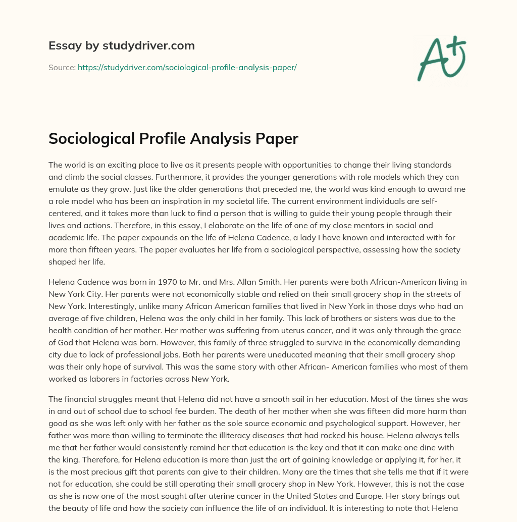 Sociological Profile Analysis Paper essay