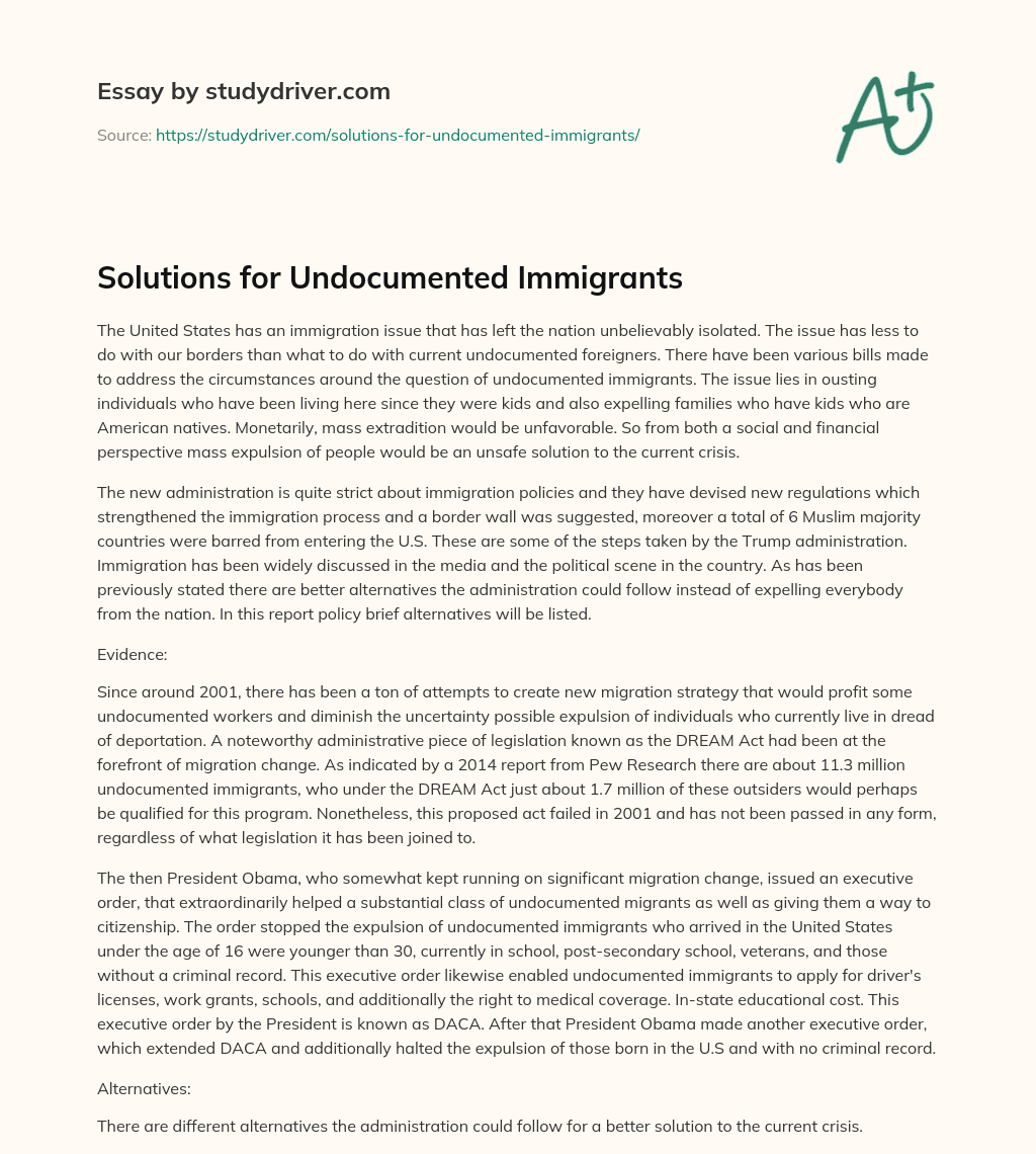 Solutions for Undocumented Immigrants essay