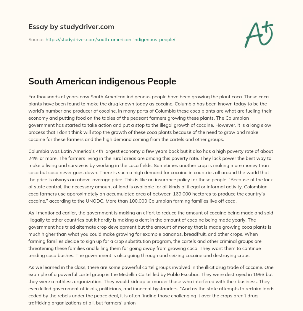 South American Indigenous People essay