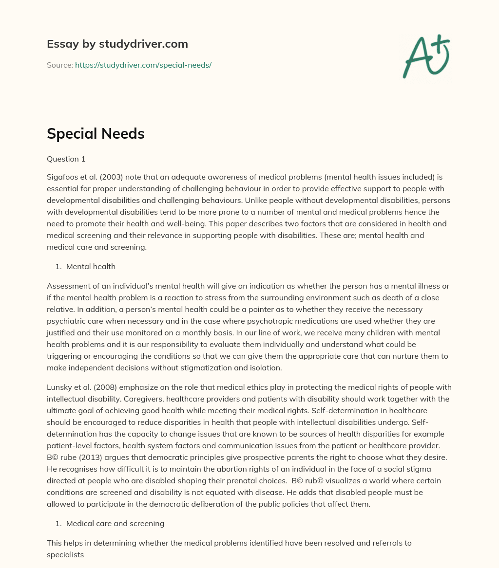 Special Needs essay