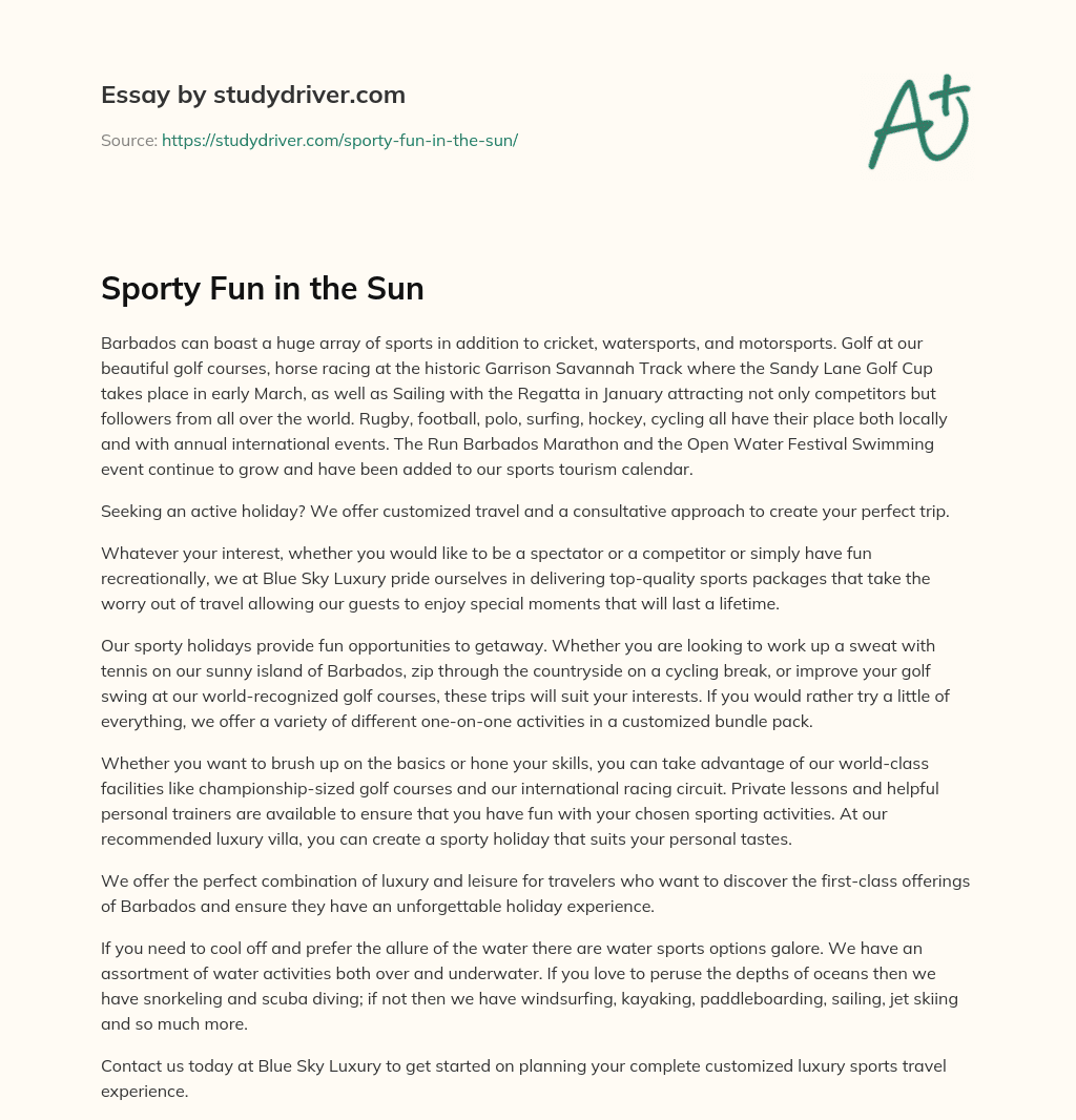 Sporty Fun in the Sun essay