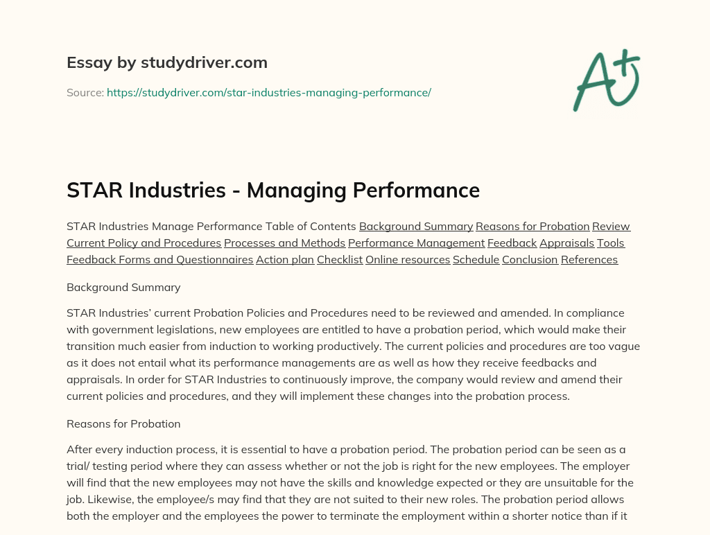 STAR Industries – Managing Performance essay