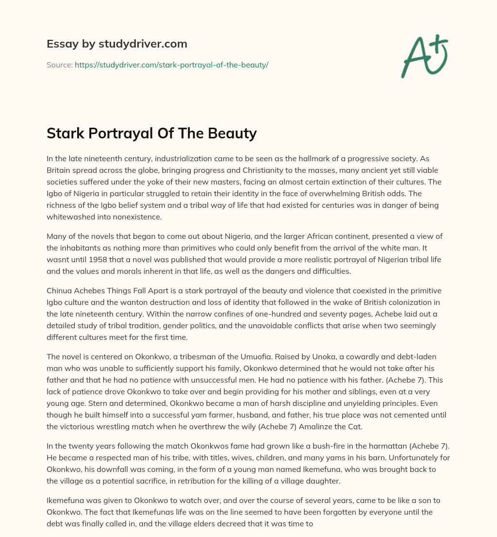 Stark Portrayal of the Beauty essay