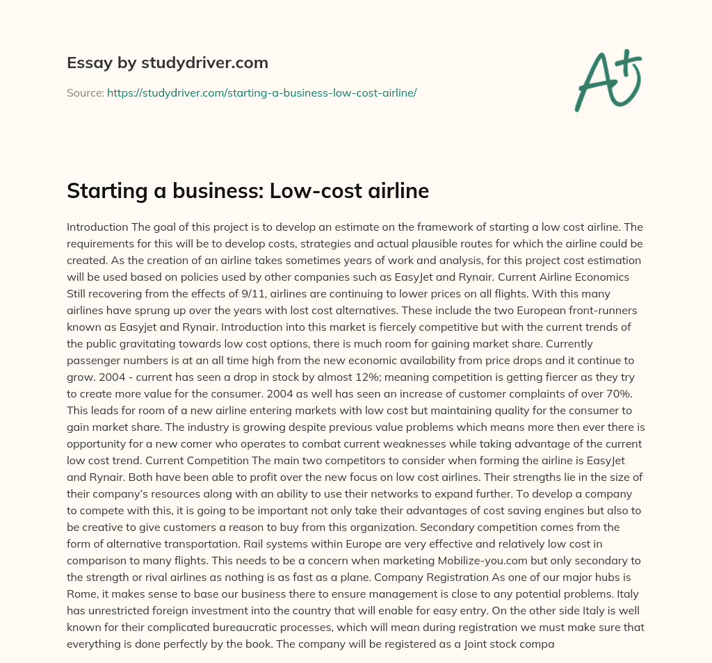 Starting a Business: Low-cost Airline essay