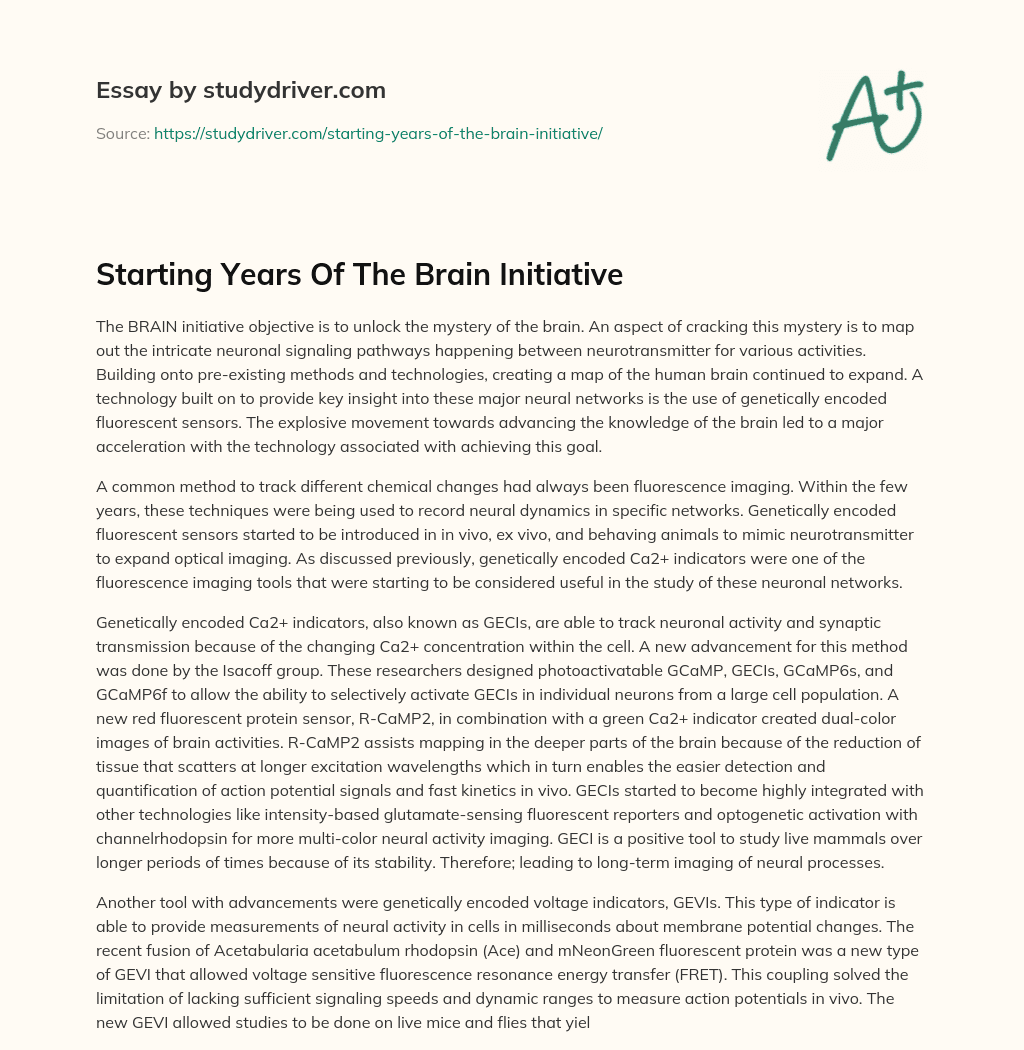Starting Years of the Brain Initiative essay