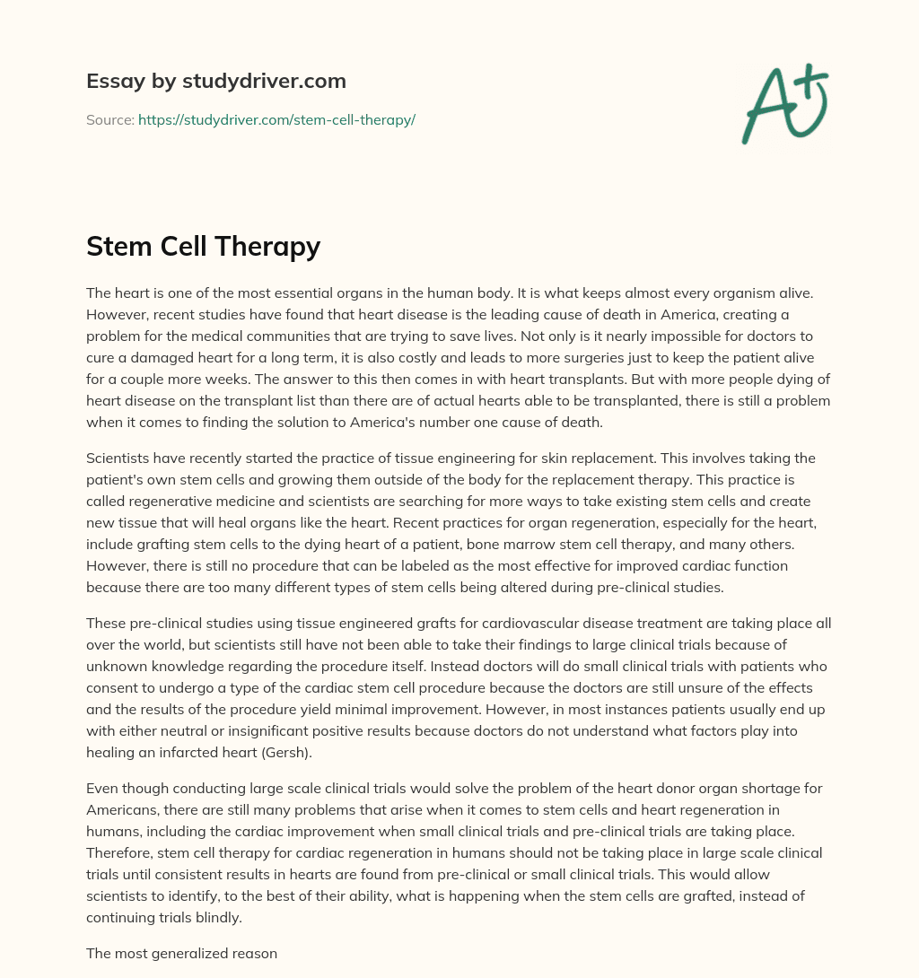 Stem Cell Therapy essay
