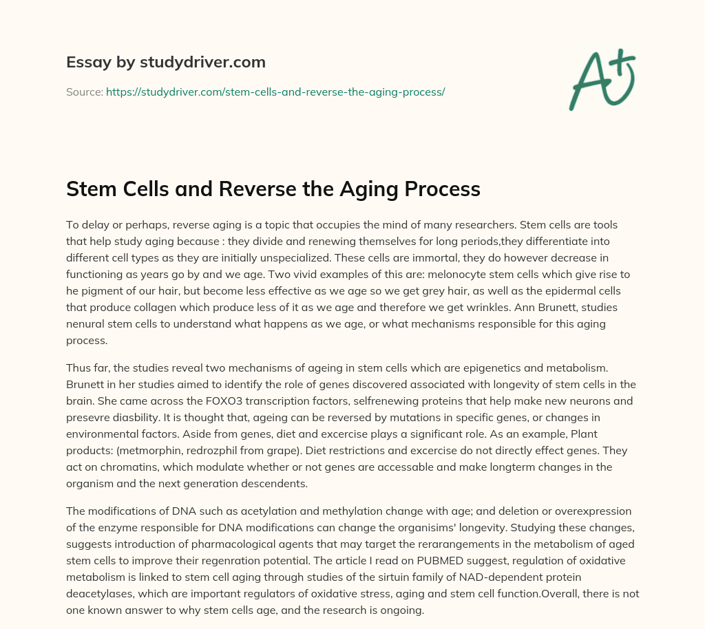 Stem Cells and Reverse the Aging Process essay