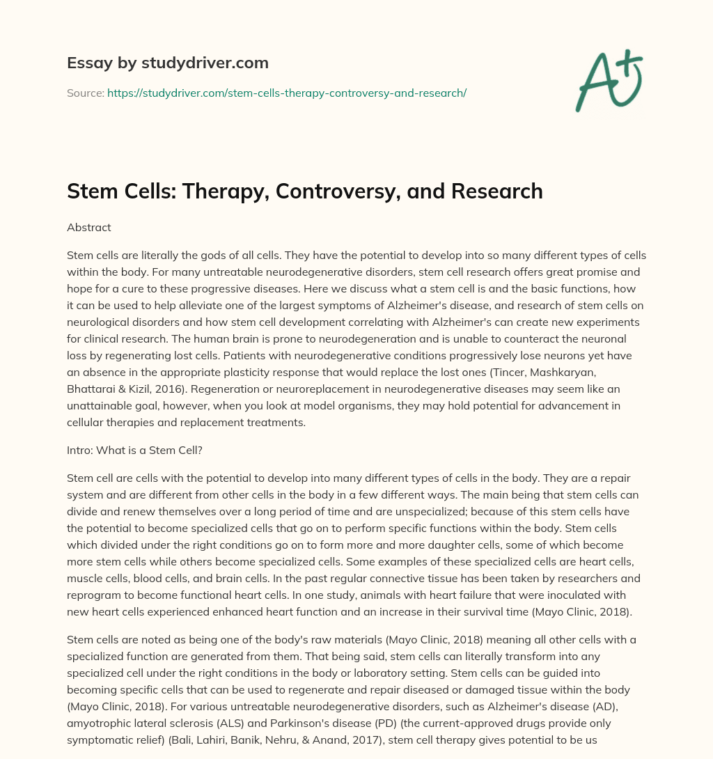 Stem Cells: Therapy, Controversy, and Research essay