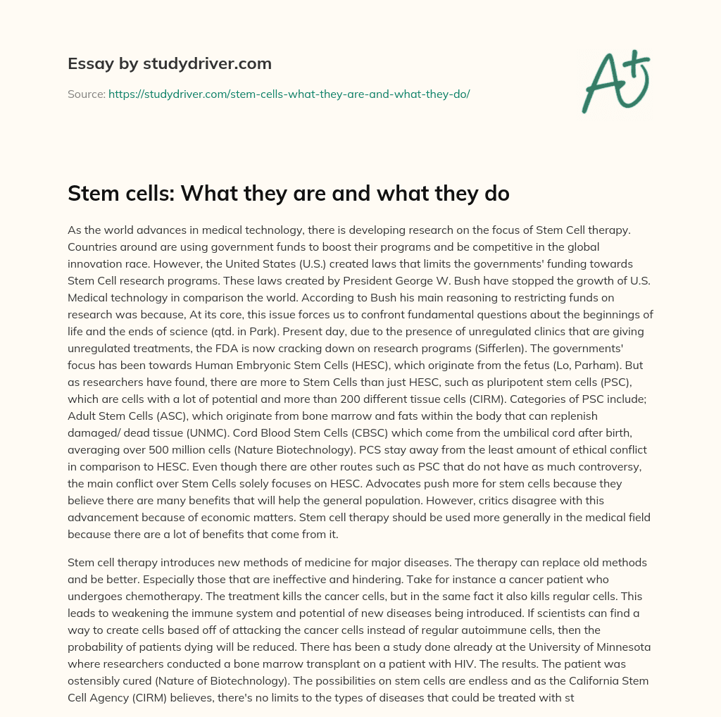 Stem Cells: what they are and what they do essay