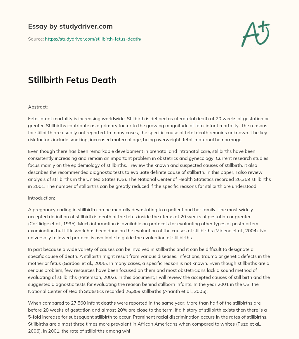 Stillbirth Fetus Death essay