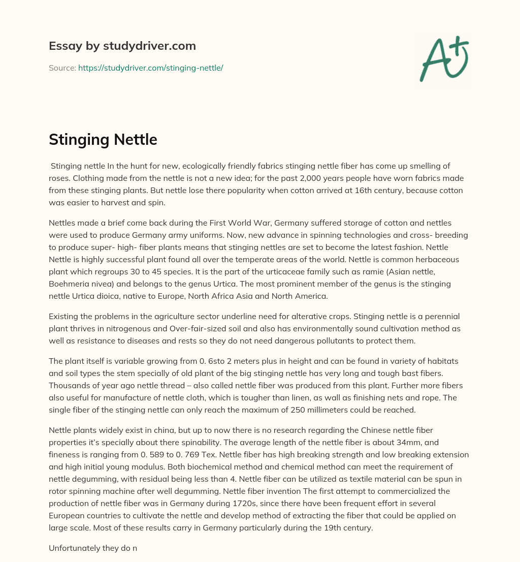 Stinging Nettle essay