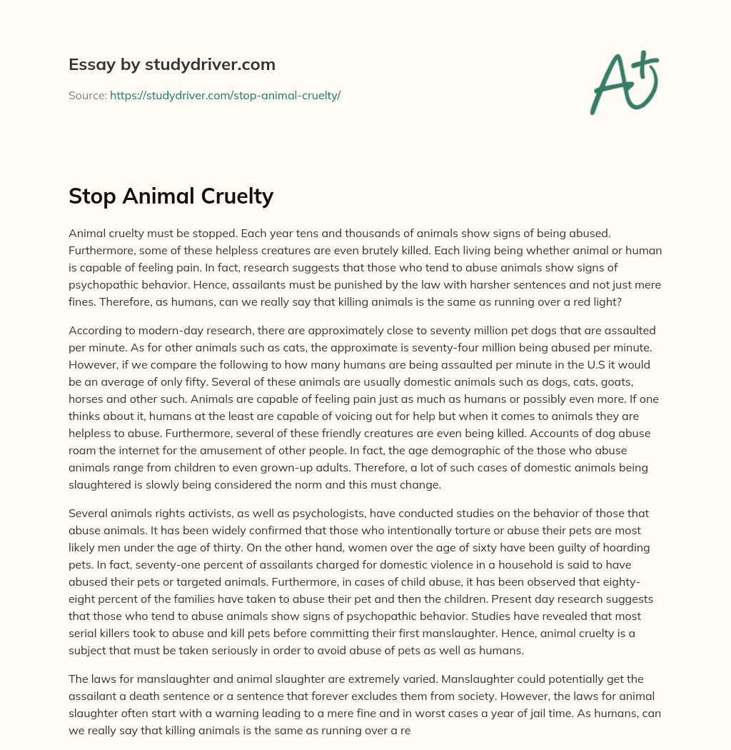 Stop Animal Cruelty essay