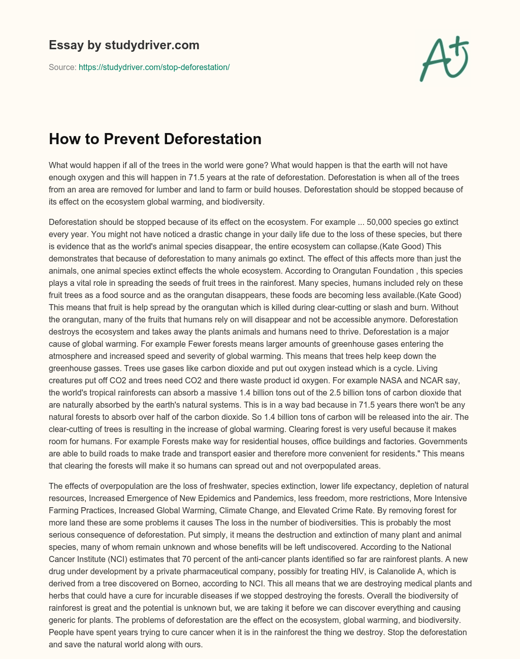 How to Prevent Deforestation essay