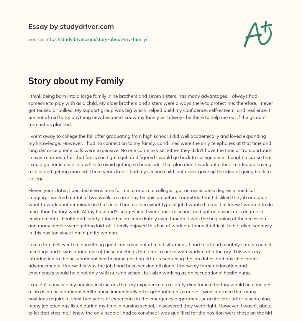 Story about my Family essay