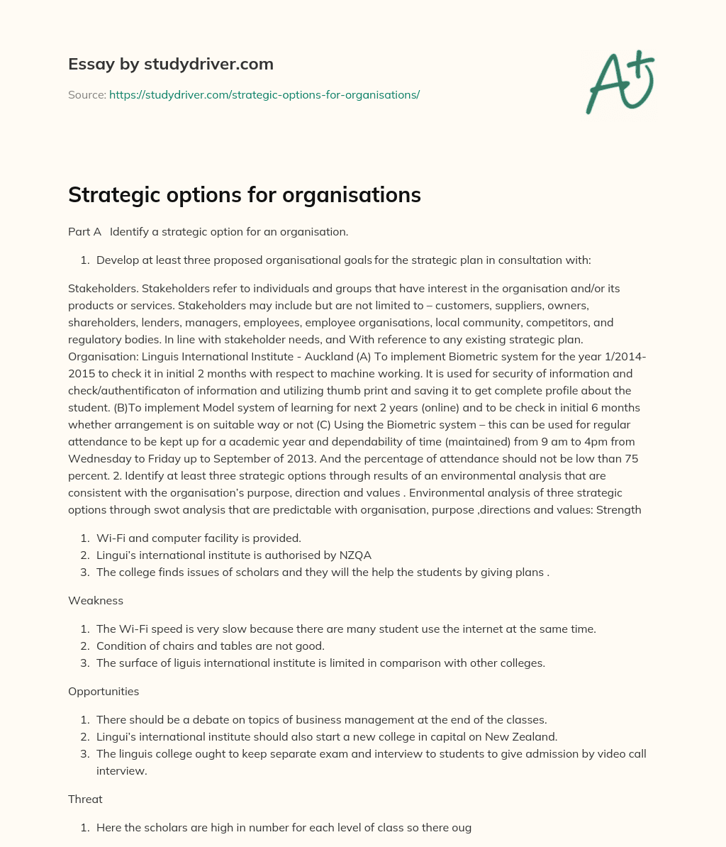 Strategic Options for Organisations essay