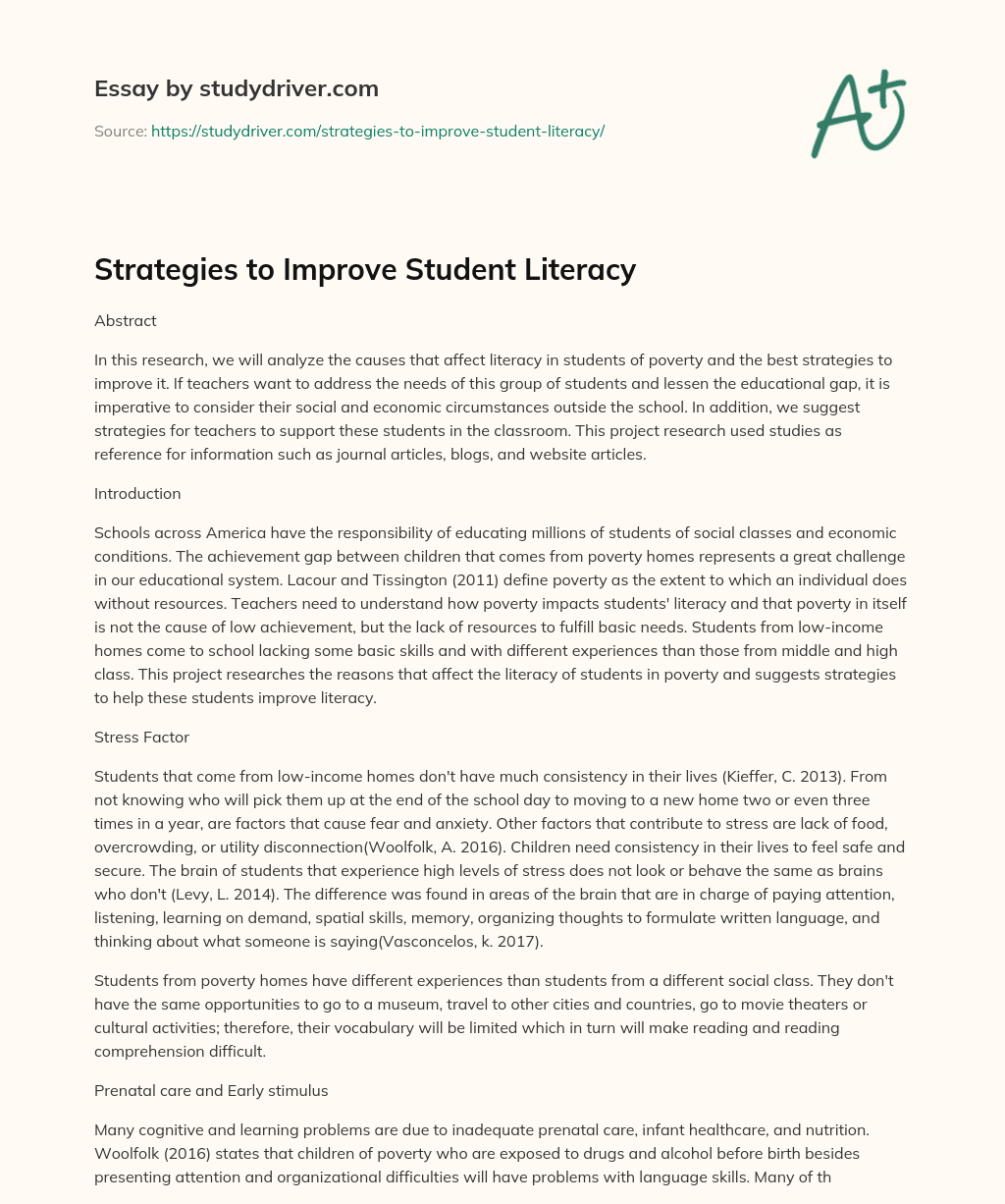 Strategies to Improve Student Literacy essay