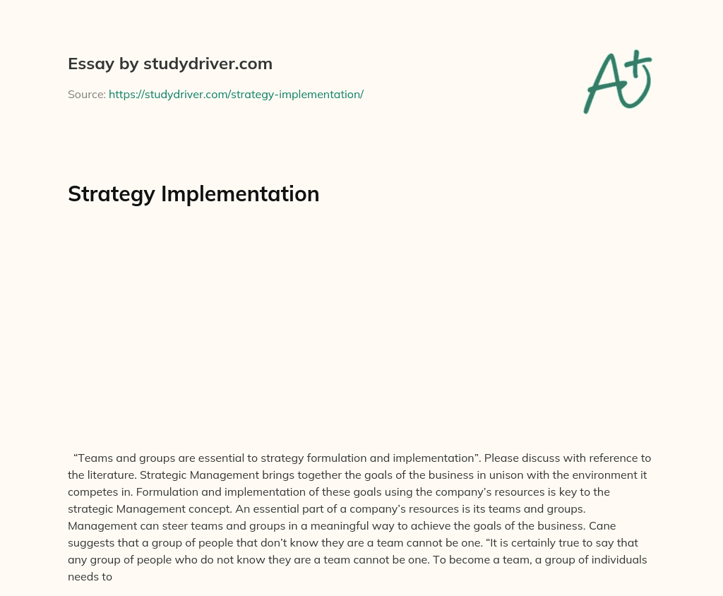 Strategy Implementation essay