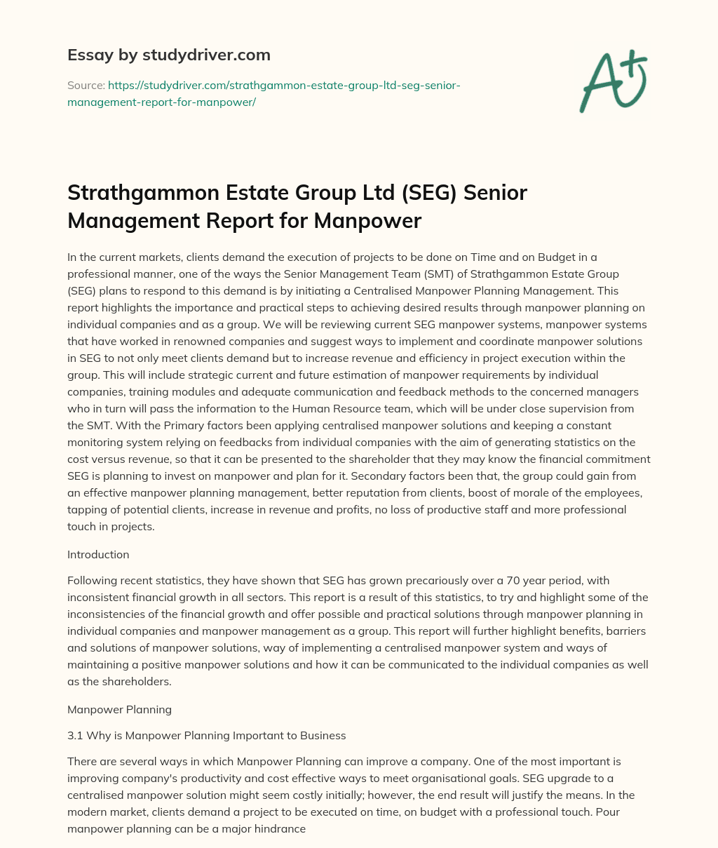 Strathgammon Estate Group Ltd (SEG) Senior Management Report for Manpower essay