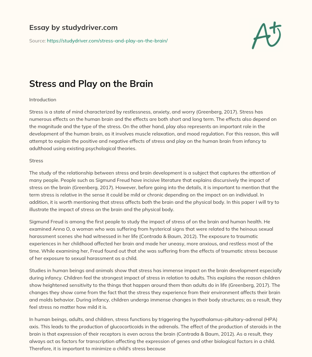 Stress and Play on the Brain essay