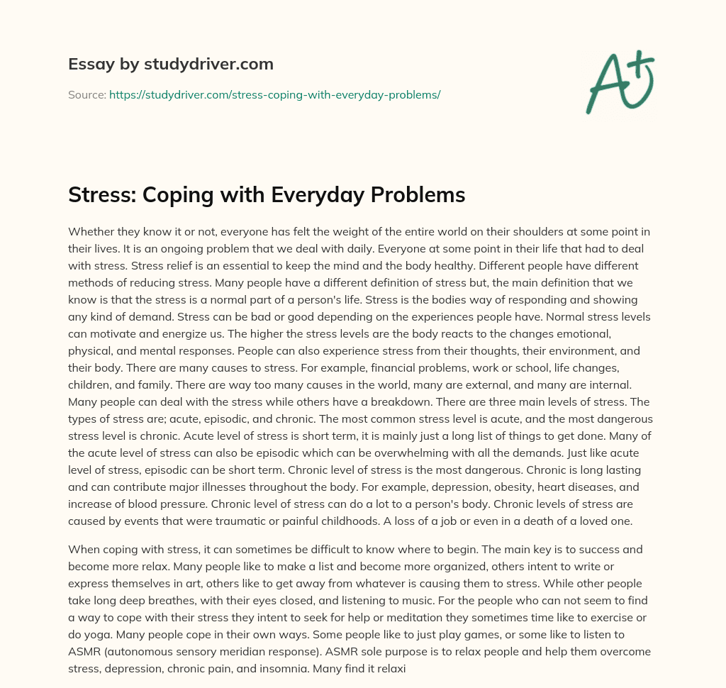 Stress: Coping with Everyday Problems essay