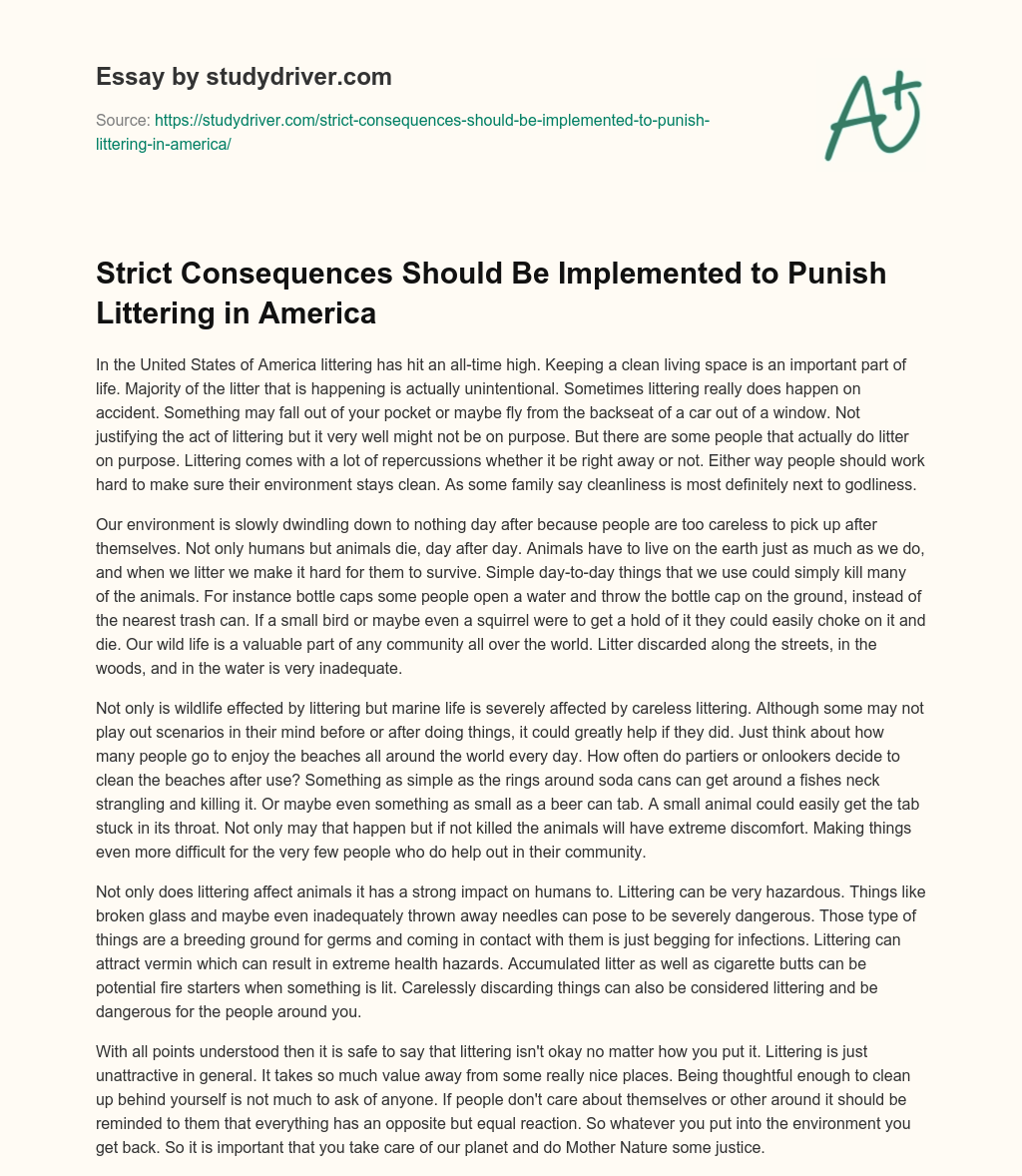 Strict Consequences should be Implemented to Punish Littering in America essay