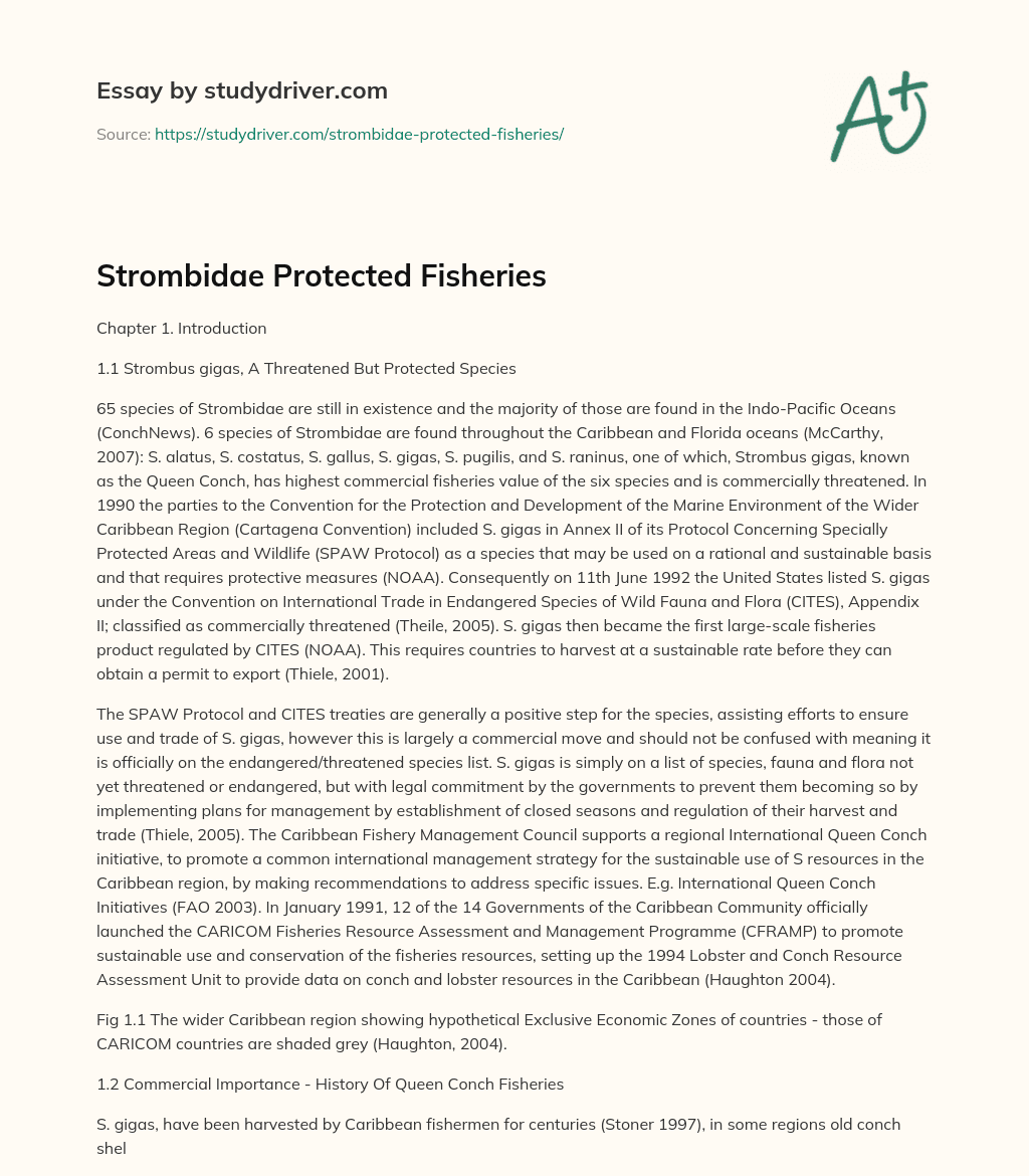 Strombidae Protected Fisheries essay