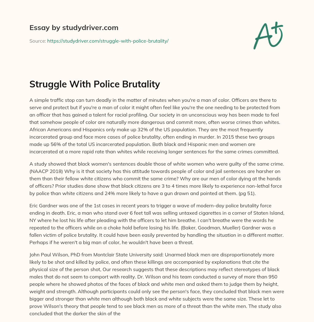 Struggle with Police Brutality essay