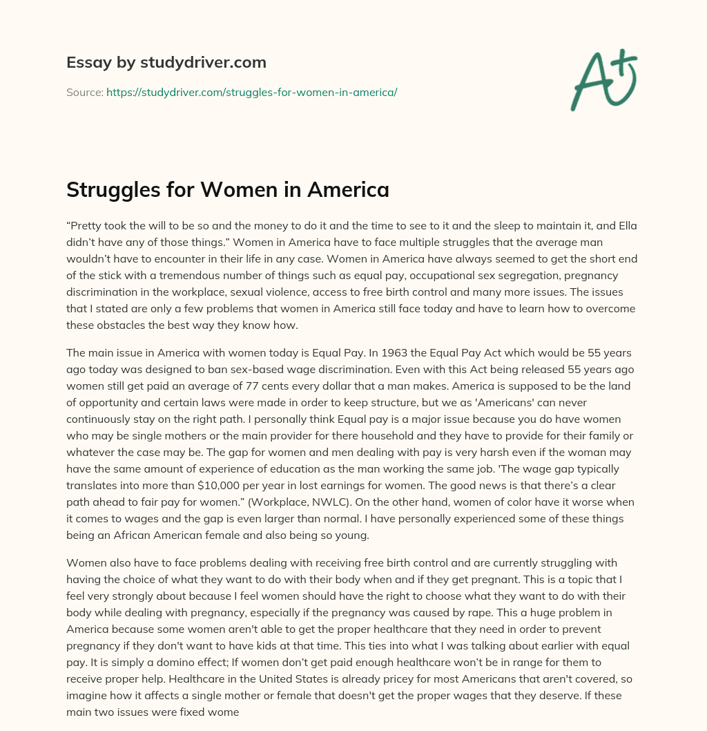 Struggles for Women in America essay