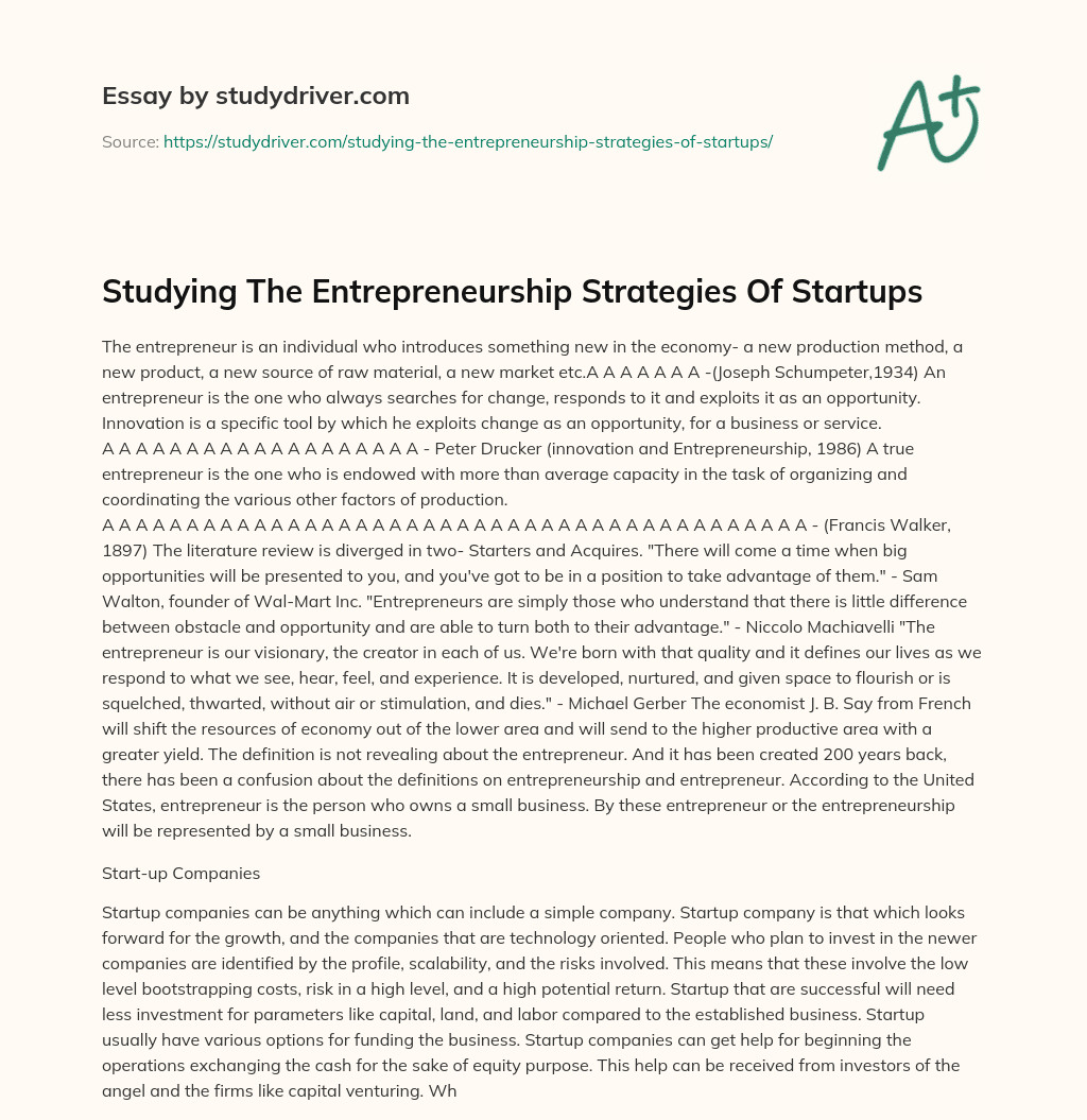 Studying the Entrepreneurship Strategies of Startups essay