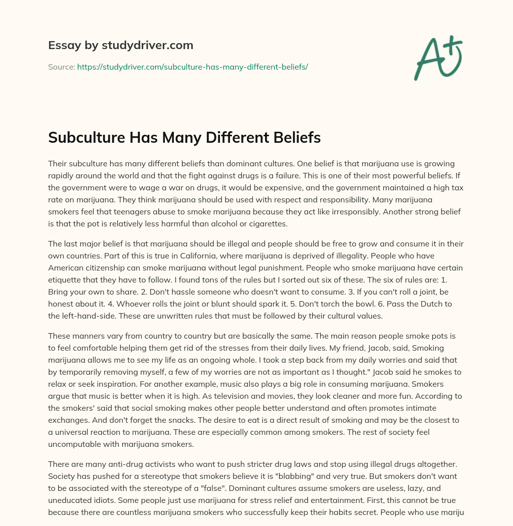 Subculture has Many Different Beliefs essay