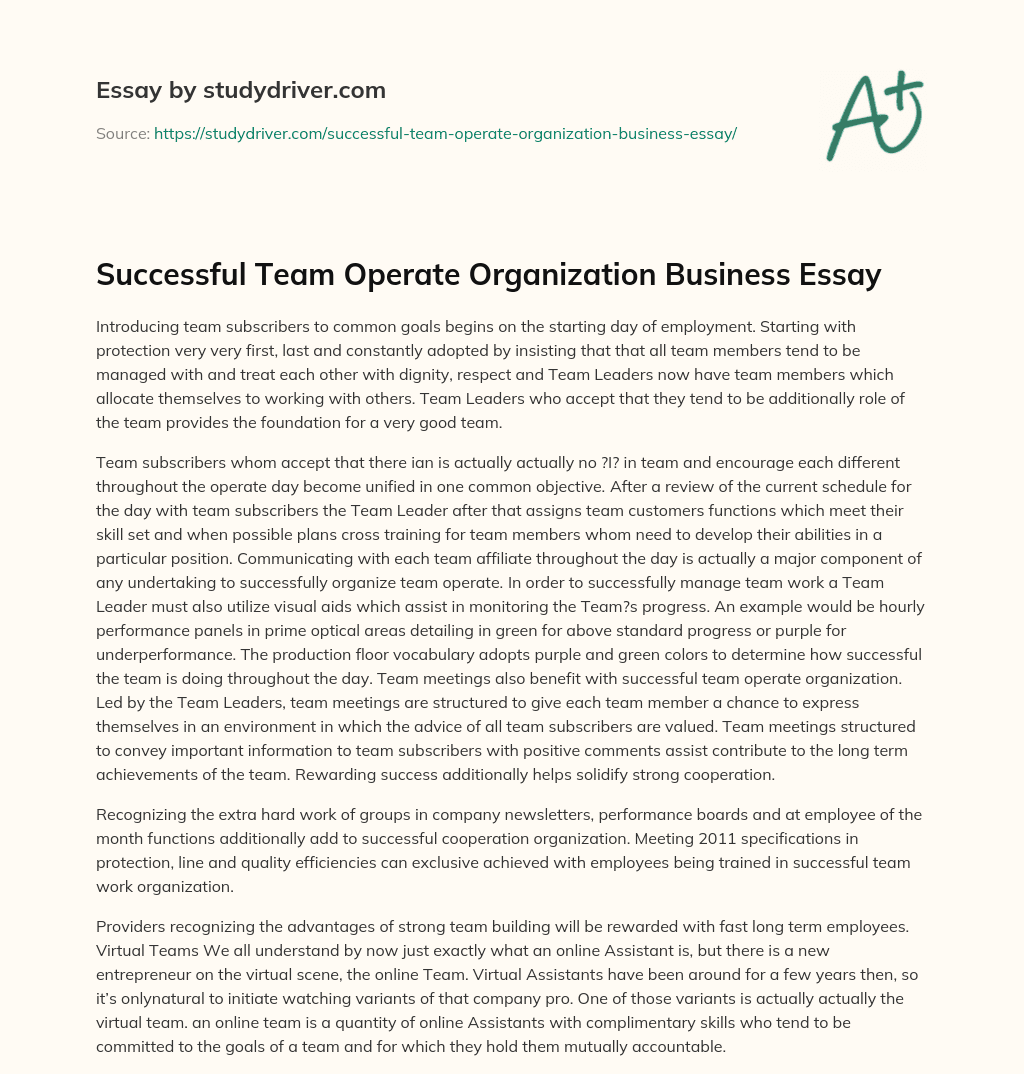 Successful Team Operate Organization Business Essay essay