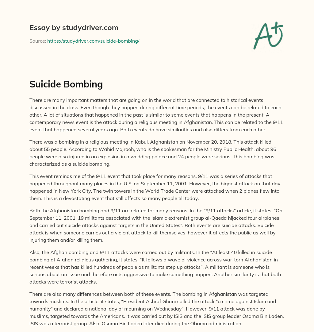 Suicide Bombing essay