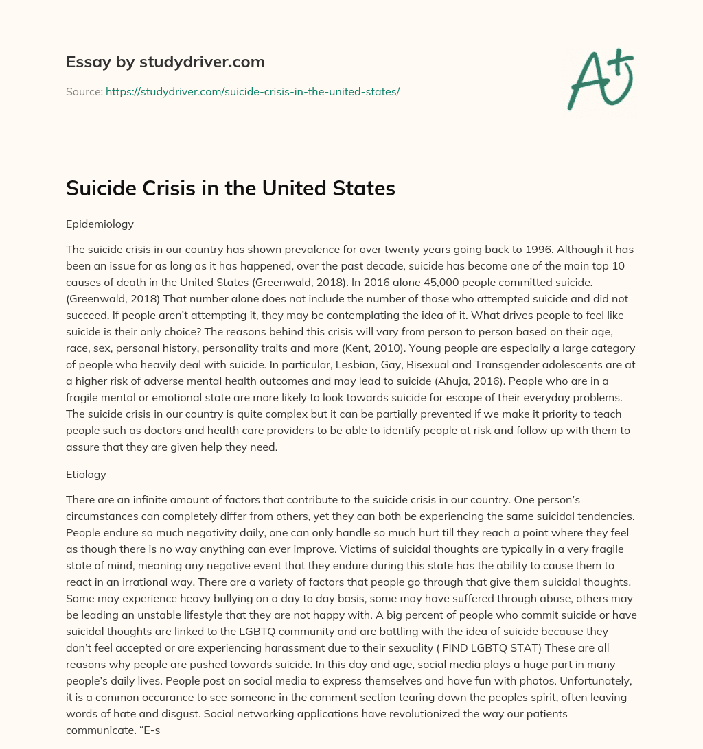 Suicide Crisis in the United States essay