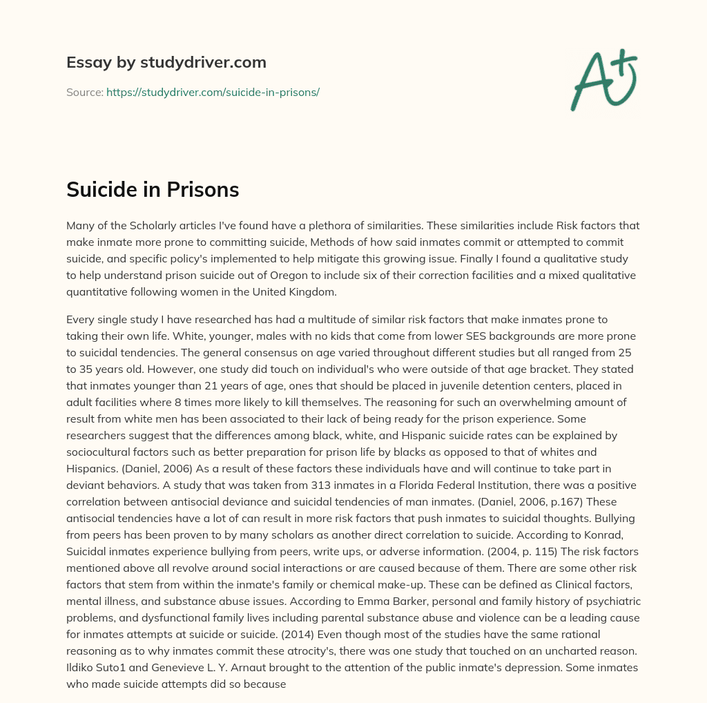 Suicide in Prisons essay