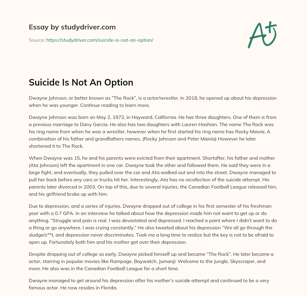 Suicide is not an Option essay