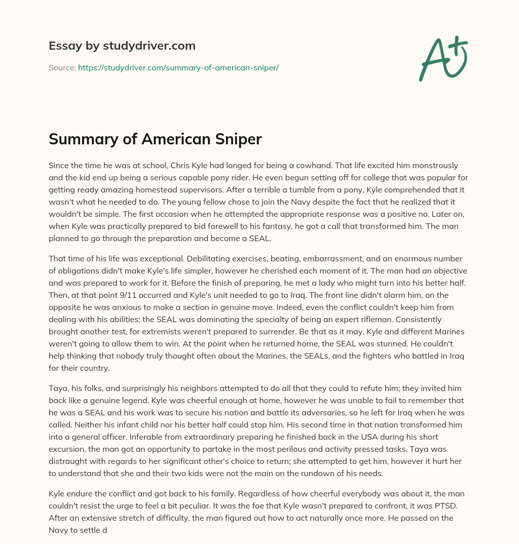 Summary of American Sniper essay