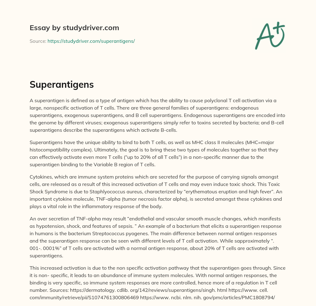 Superantigens essay