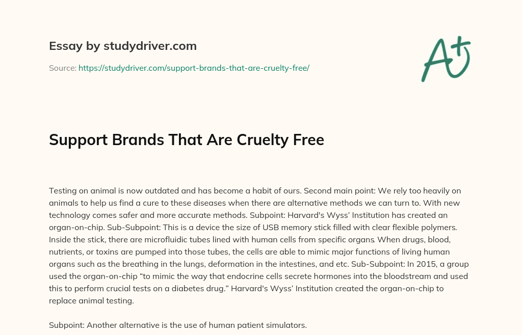 Support Brands that are Cruelty Free essay