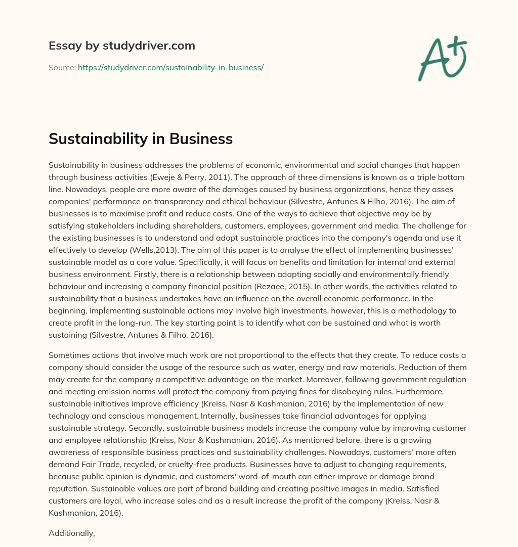 Sustainability in Business essay
