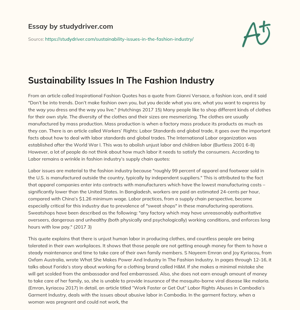 Sustainability Issues in the Fashion Industry essay