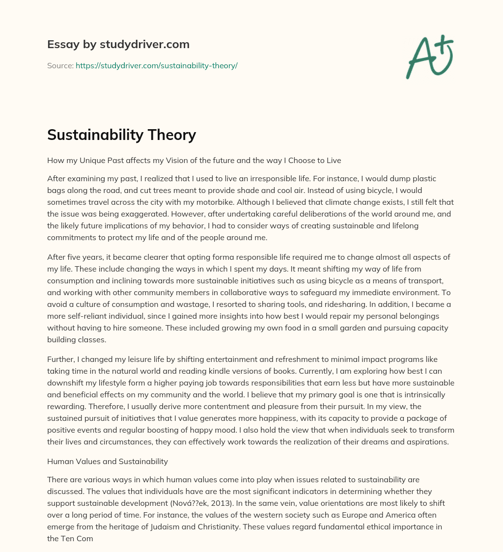Sustainability Theory essay