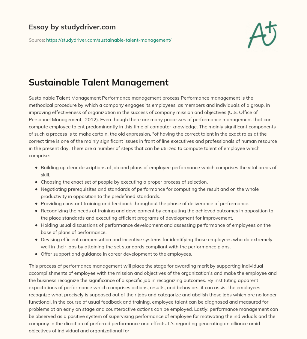 Sustainable Talent Management essay
