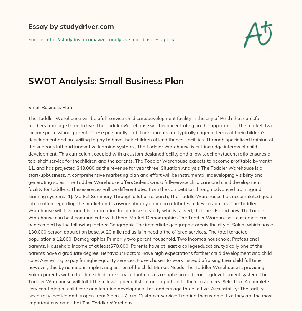 SWOT Analysis: Small Business Plan essay