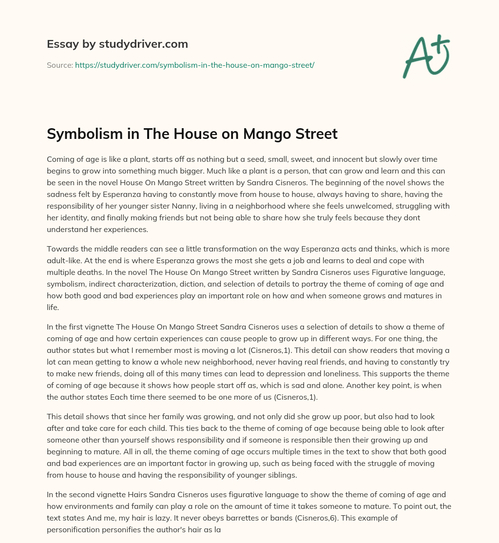 Symbolism in the House on Mango Street essay